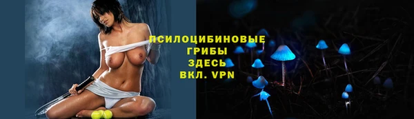 мет Нея