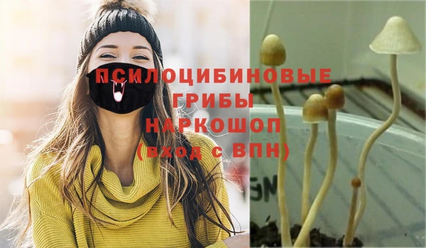 мет Нея