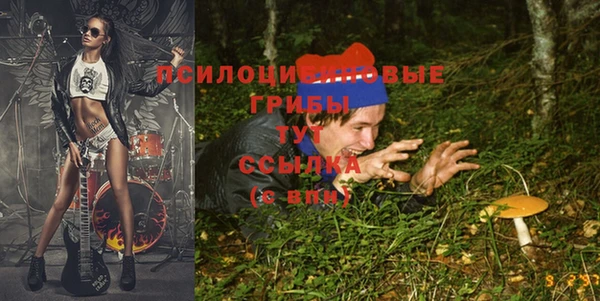 кокс Нефтекумск
