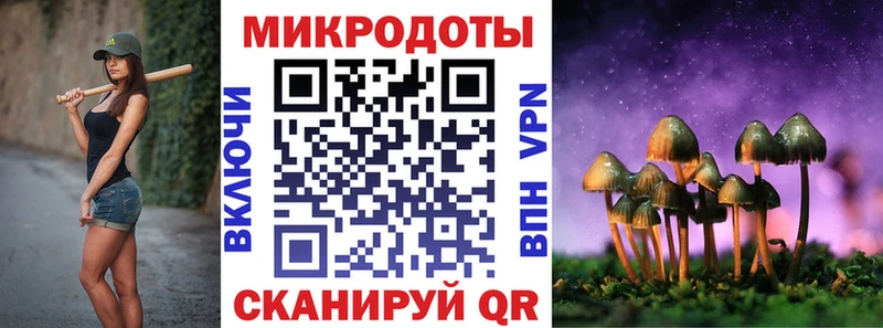 Псилоцибиновые грибы Magic Shrooms  мега как войти  Нолинск 